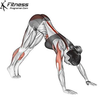 Hindu Pushups: How To, Benefits And Muscles .